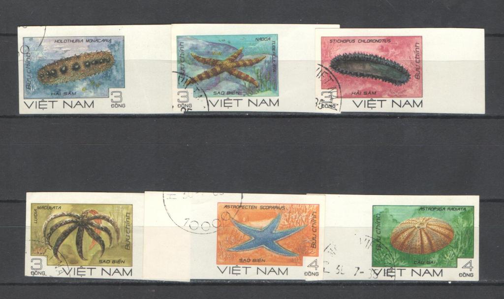 Вьетнам 1985г. Обитатели моря, без зуб. Гаш.