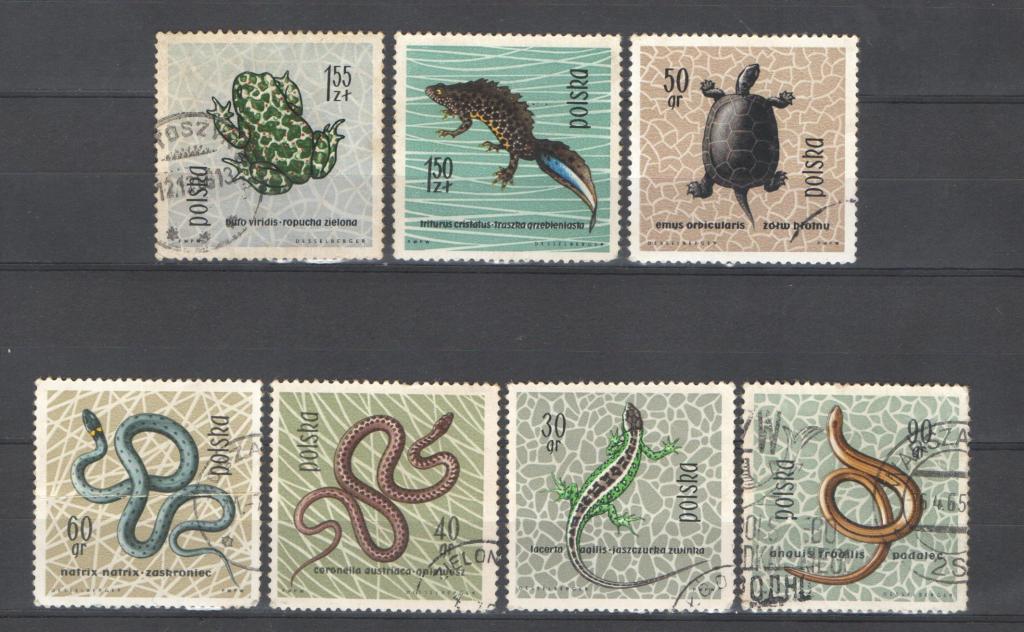 Польша 1963г. Змеи. Гаш. Прим.