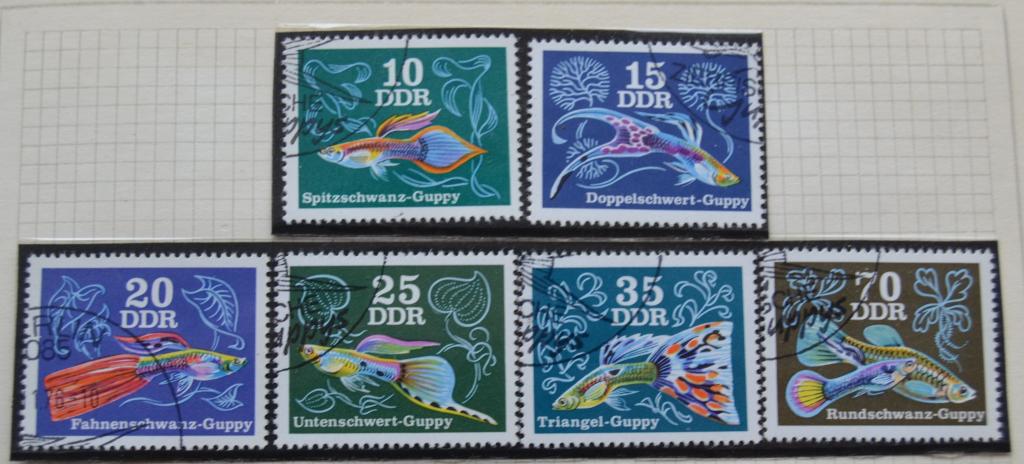 ГДР 1976 Фауна Аквариумные рыбки-Гуппи Полная серия
