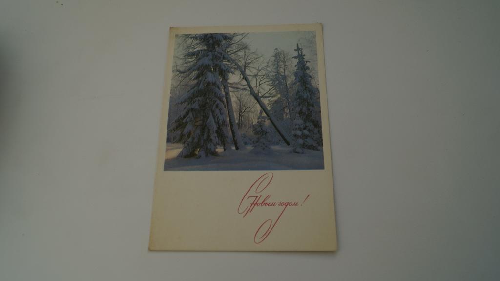 Панов 1968 С Новым годом Зимний пейзаж ель снег ДМПК чистая