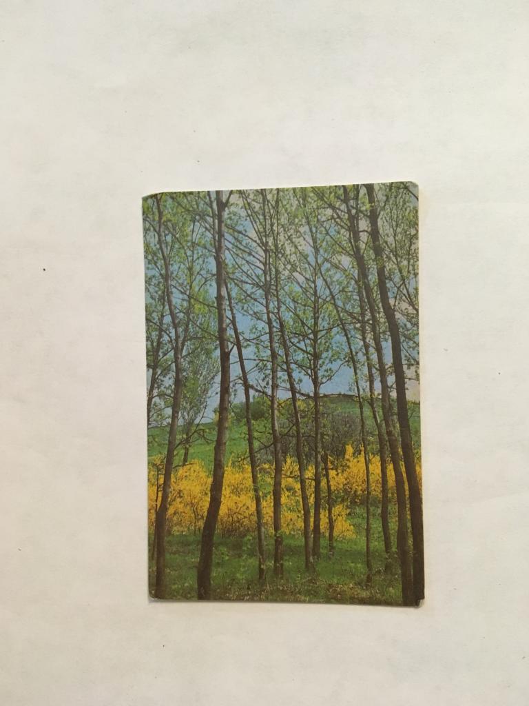 Календарь. Весенний пейзаж. 1987. Лукашевич. Карманный календарик. Календарик. Карманный календарь