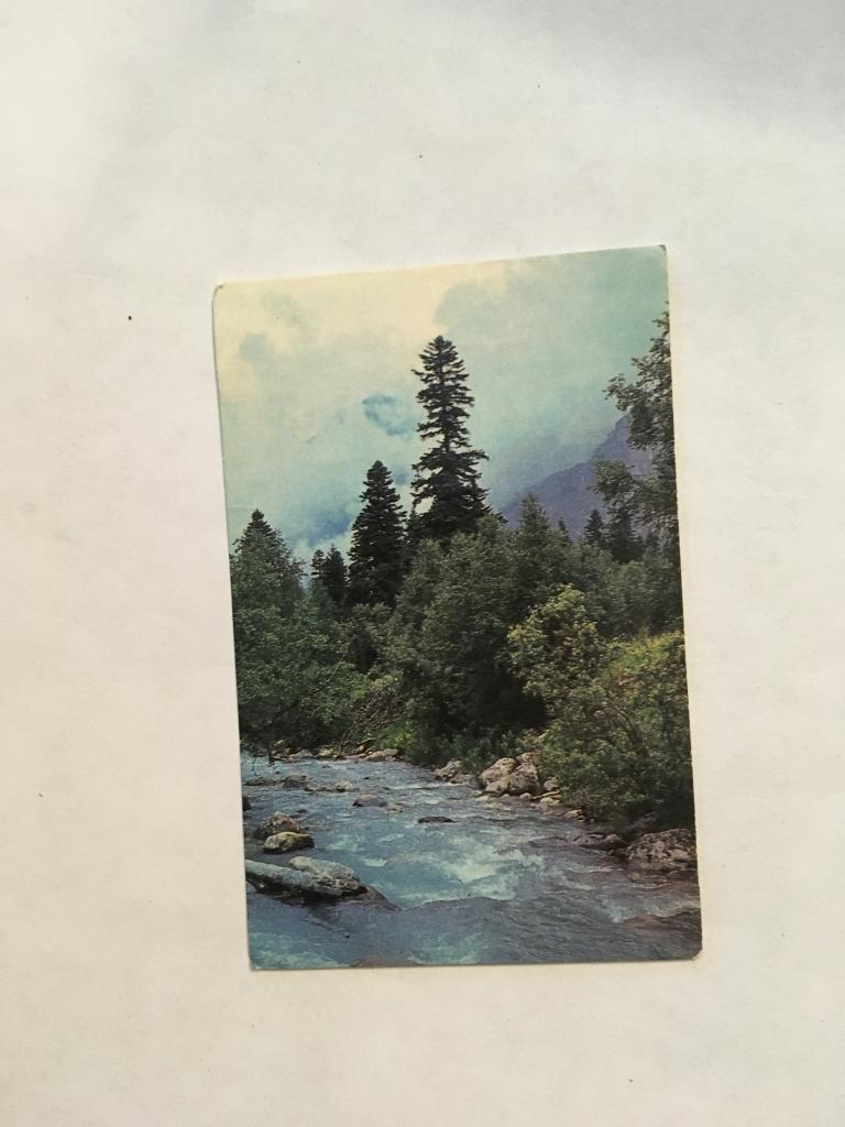 Календарь. Горная речка. 1981. Сердюк. Карманный календарик. Календарик. Карманный календарь