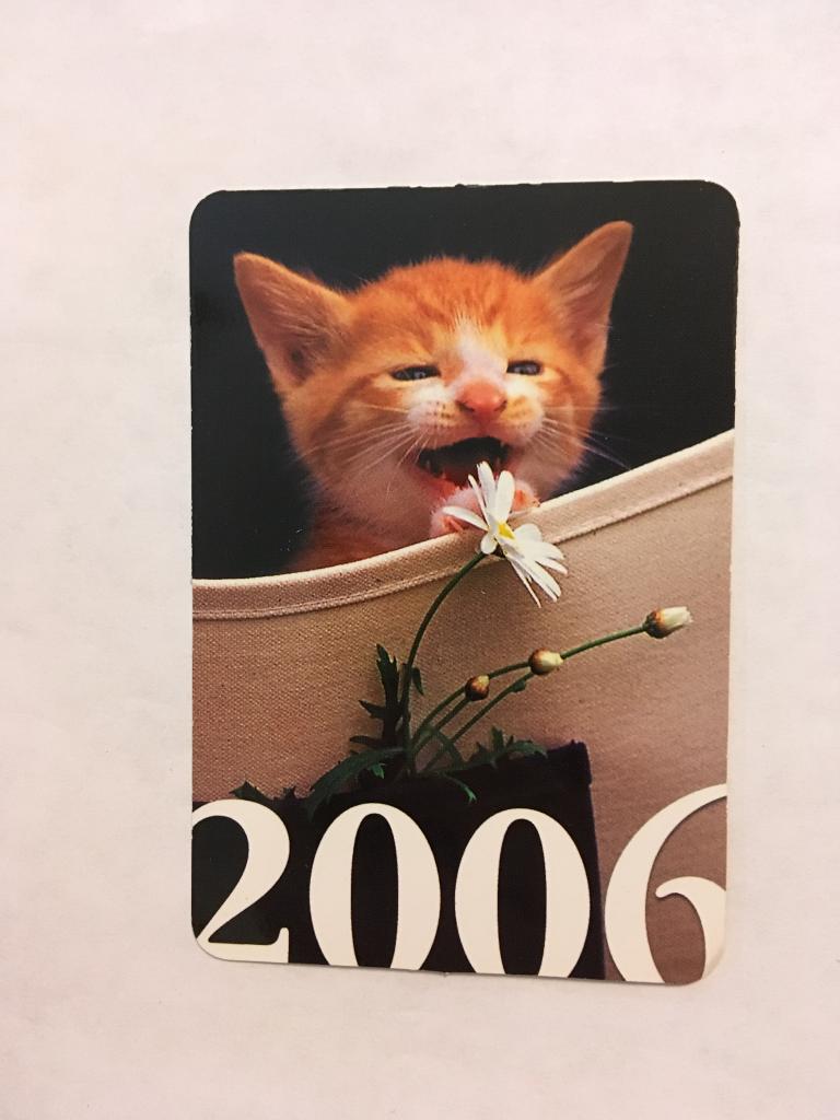 Календарь. Котята. Ромашка. 2006. Календарь карманный. Карманный календарик. Календарик