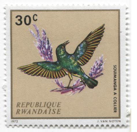 1972.Руанда.Птица.30с.**