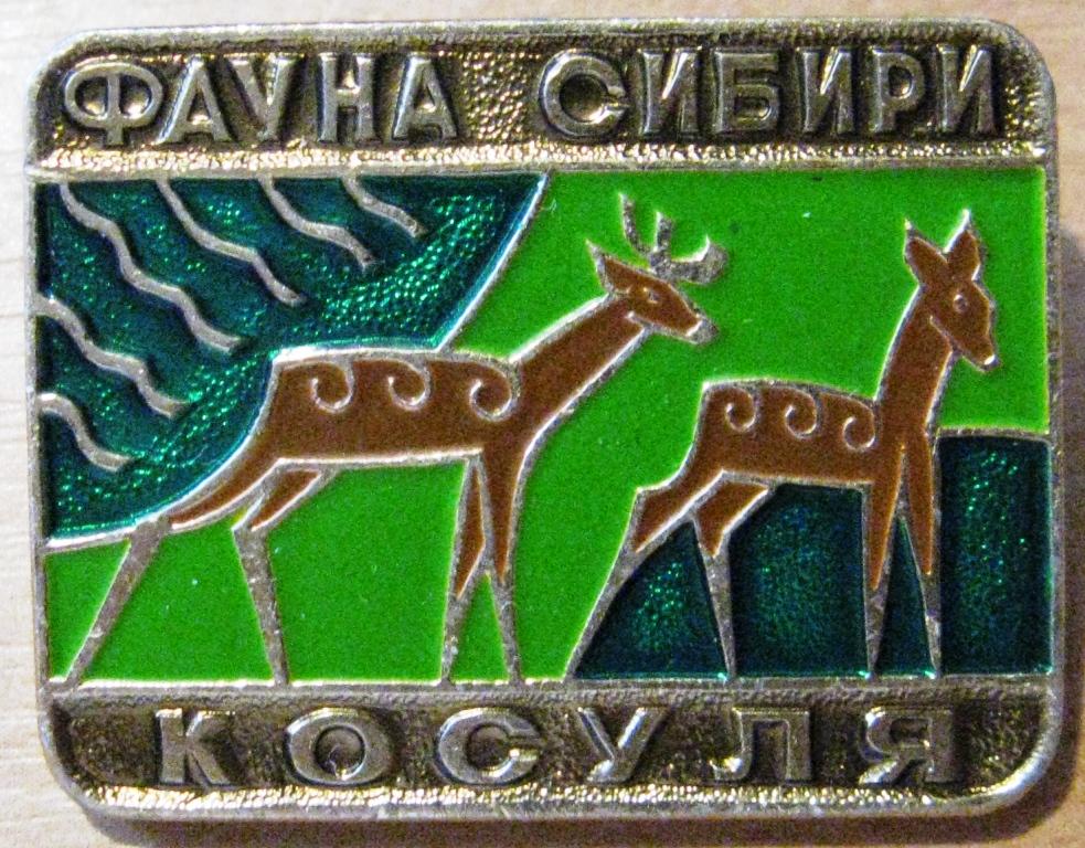 23.045 ФАУНА СИБИРИ КОСУЛЯ