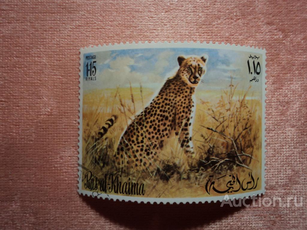 Марки.Рас-эль-Хайма.1972 г.Африканская фауна.Гепард.Mi#624.