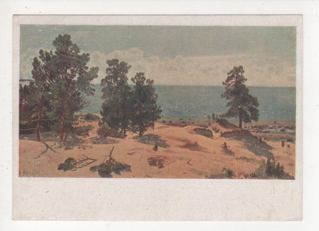 И.И.ШИШКИН Сосны Этюд (1645)