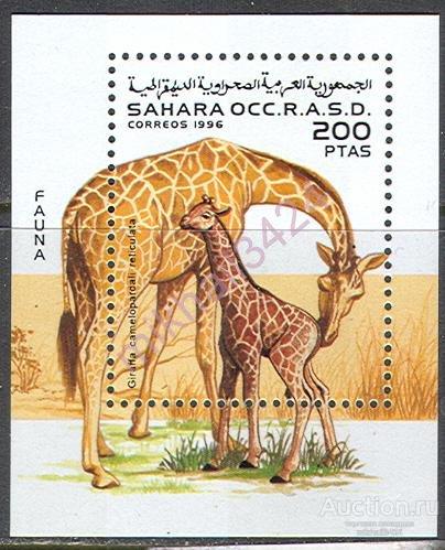 1749 Фауна Животные Жирафы 1996 Сахара Фронт Полисарио Блок **