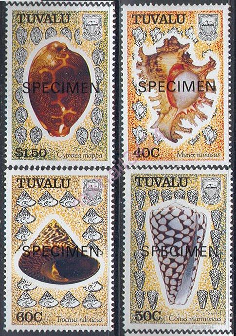 М3886 Морская Фауна Ракушки Моллюски SPECIMEN 1991 Тувалу 4м п/с ** 24МЕ