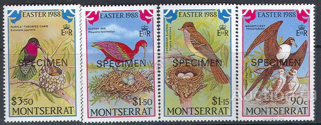 Р5019 Фауна Пасха Птицы SPECIMEN 1988 Монтсеррат 4м п/с **