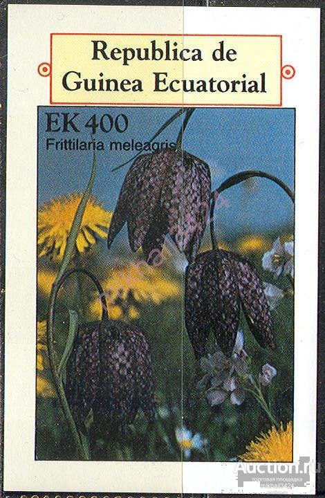 0463 Флора Цветы Растения 1977 Гвинея Экваториальная Блок б/з чистый **