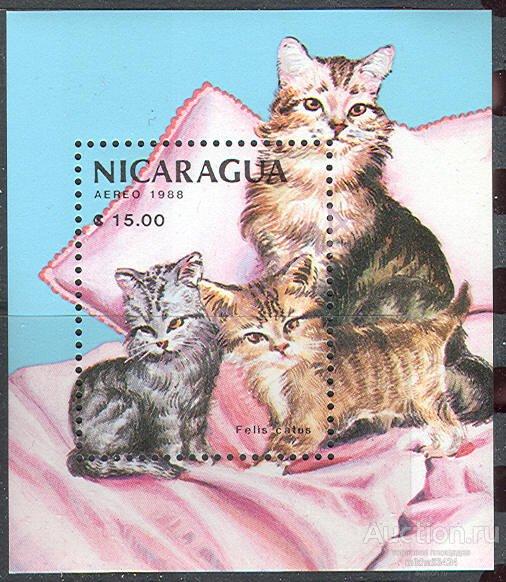 1836 ✅ Фауна Домашние Животные Кошки 1988 Никарагуа Блок ** 4,5МЕ