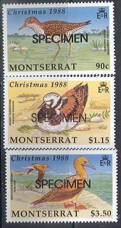 Р5028 Фауна Рождество Птицы Праздники SPECIMEN 1988 Монтсеррат 3м нп/с **