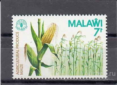 MALAWI  МАЛАВИ   Культуры Кукуруза № 364  1981   Сост**