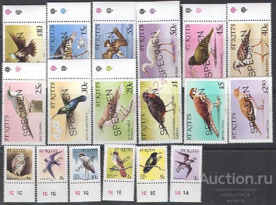 1430 ✅ Стандарт Фауна Птицы SPECIMEN 1981 Сент-Китс 18м п/с **