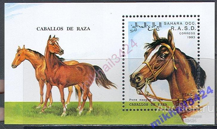 1923 ✅ Фауна Лошади Домашние Животные 1993 Сахара Фронт Полисарио Блок **
