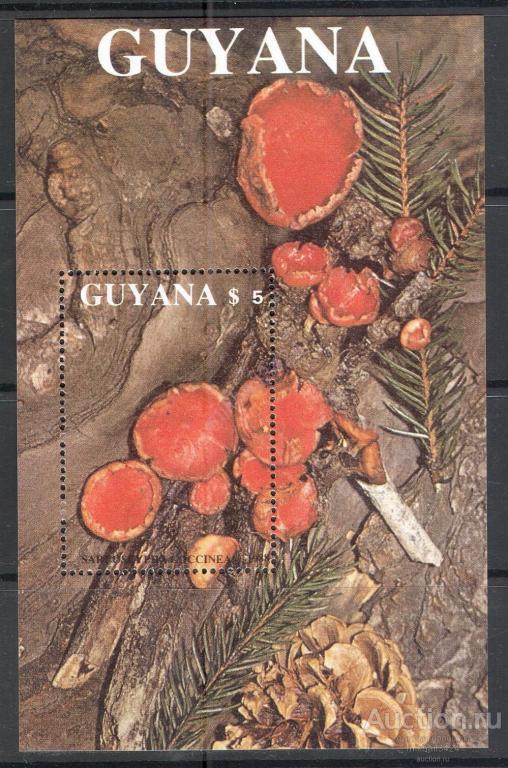 0920 ✅ Флора Грибы 1989 Гайана Блок Выпуск-2 ** 13МЕ