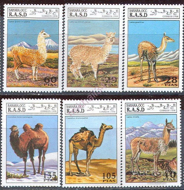 0968 ✅ Фауна Животные Верблюды Ламы 1994 Сахара Полисарио 6м п/с **