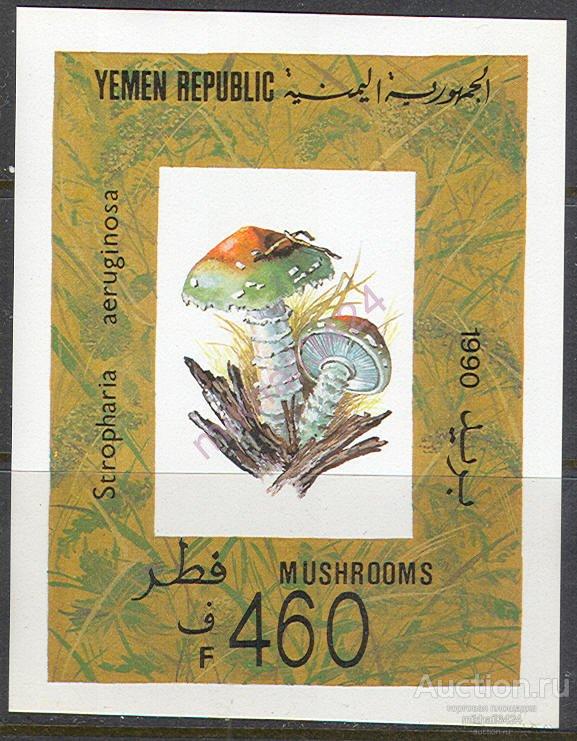 2051 Флора Грибы 1991 Йемен Блок б/з ** 6,5МЕ