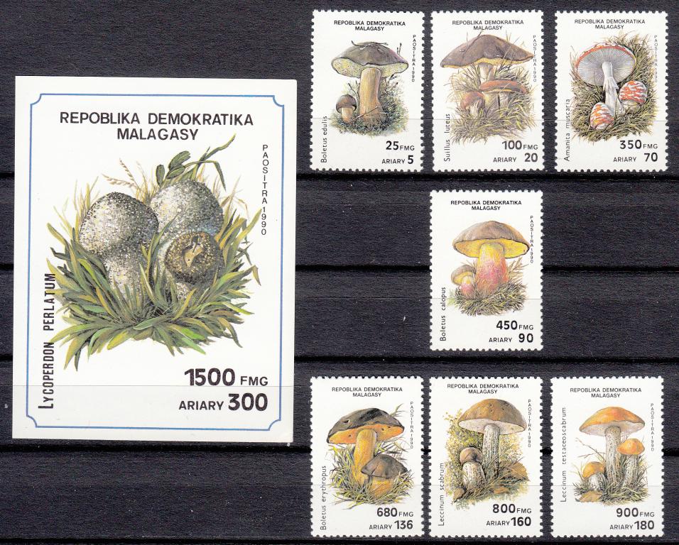 Марки.  Мадагаскар.  1990.  Грибы.  Флора.  Серия  с  блоком.