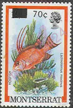 1143 ✅ Стандарт Фауна Морская Рыбы 1983 Монтсеррат надпечатка 1м нп/с **