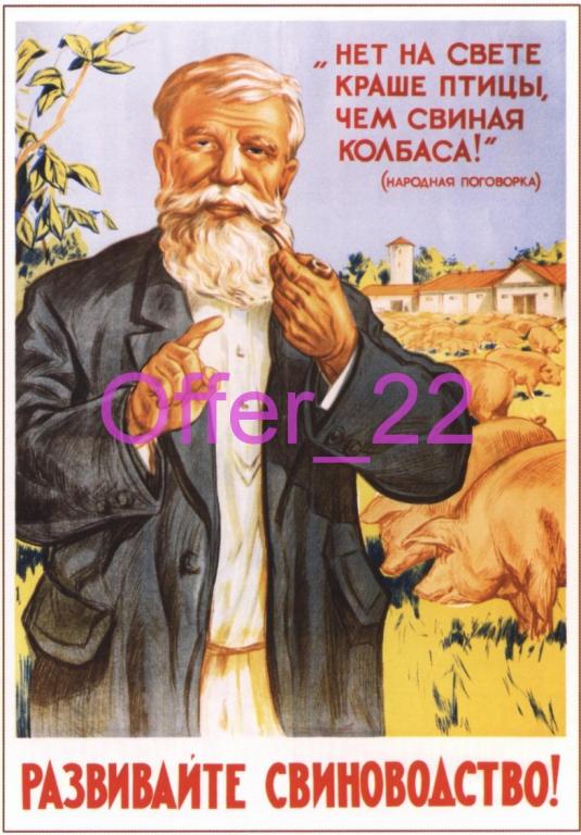 Реклама ПЛАКАТ СССР РАЗВИВАЙТЕ СВИНОВОДСТВО КОПИЯ Размеры: около 15 х 21 см. С168 