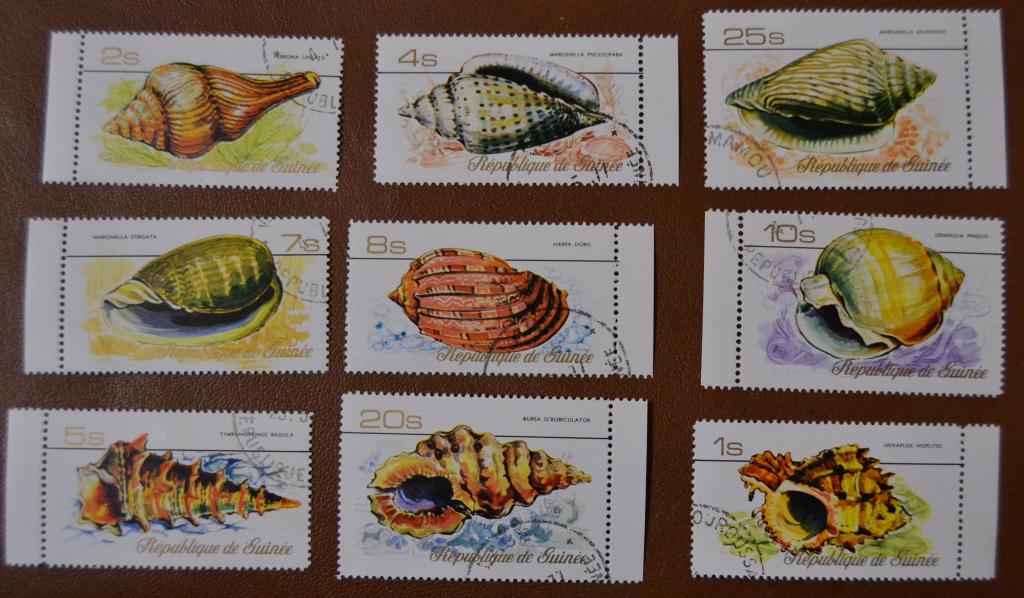 Гвинея 1977 г. Фауна Морские Раковины Mi№ 757-775 СТО
