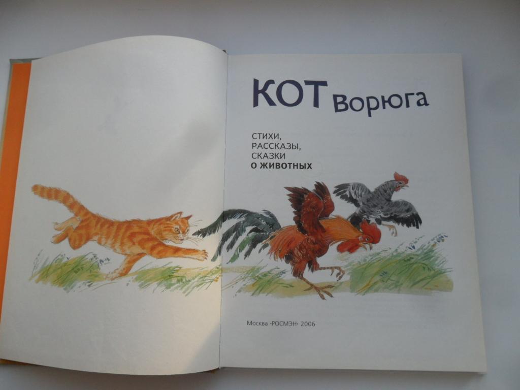 План по рассказу кот ворюга