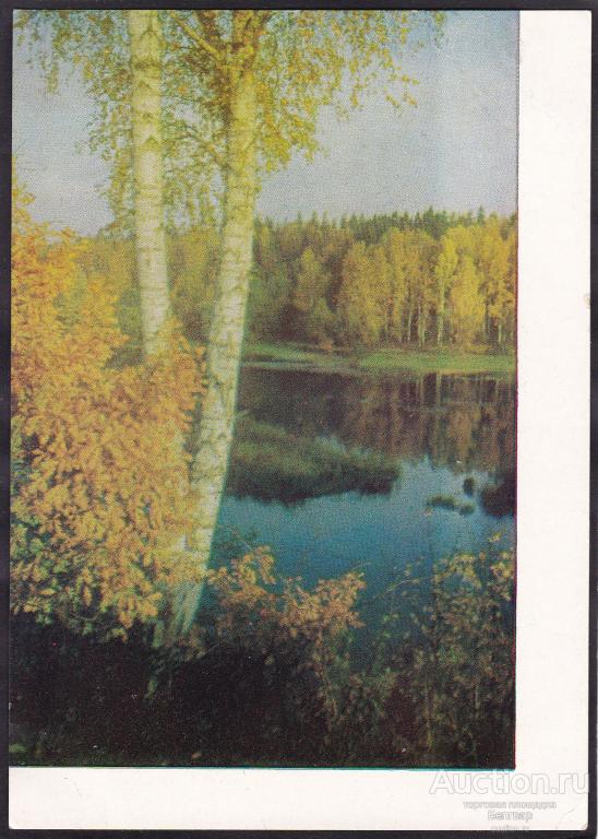 Подмосковье.