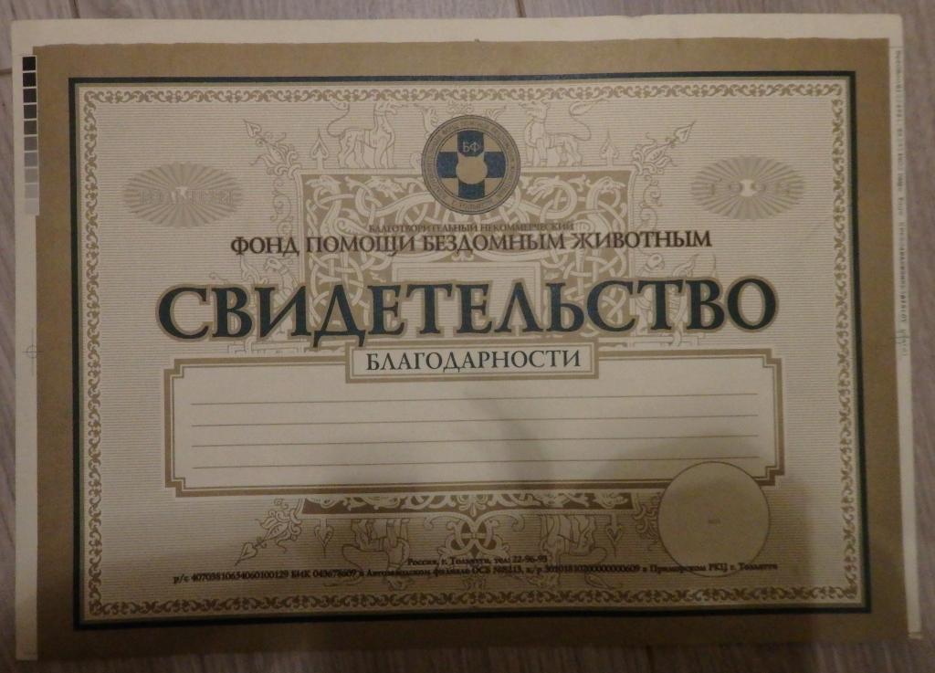 Грамота. Фонд помощи бездомным животным. Тольятти. 1998 г. Чистый бланк.