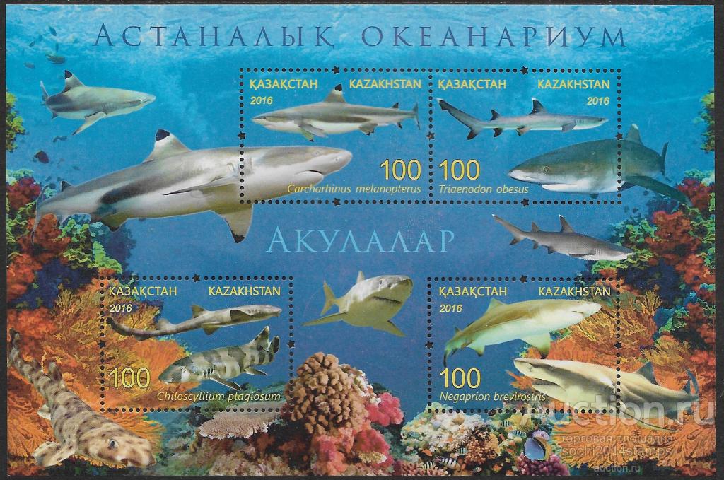 Казахстан. Астанинский океанариум. Акулы. Блок