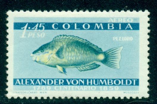 Colombia Колумбия 1960 морская фауна рыбы * (6-6)
