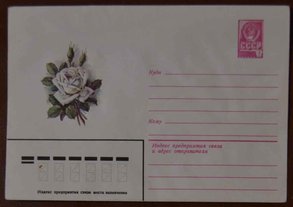 Художественный маркированый конверт ХМК 1979 г. Флора - Белая роза.