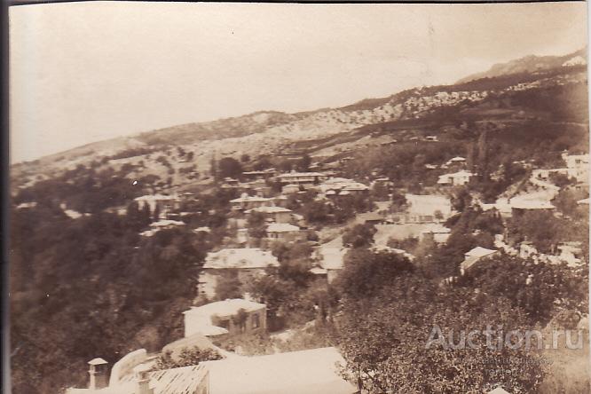 фотография 16 х 12 см. Алупка общий вид  дач с минарета 1880г