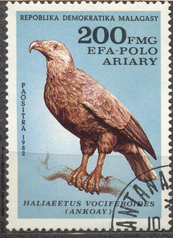Мадагаскар 1982 г. Птицы гашеная