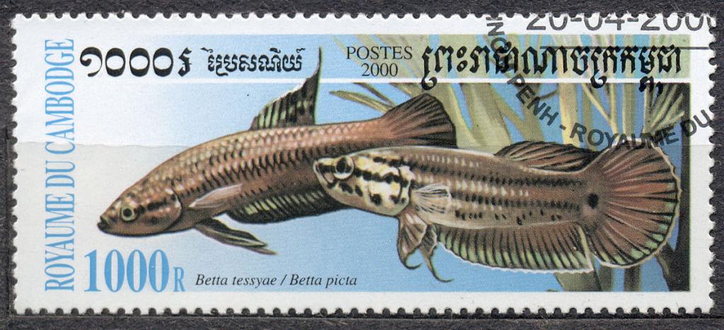 Камбоджа 2000 г. рыбы гашеная