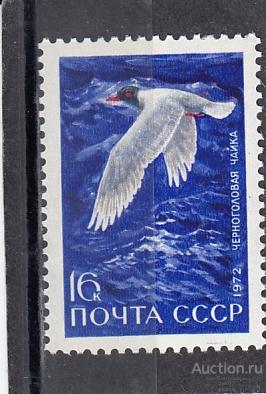 1972  Птицы Черноголовая чайка Сост**