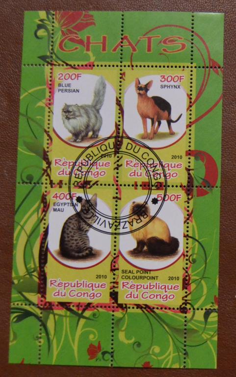 Конго 2010 г. Кошки, ФАУНА, блок, ГАШ.