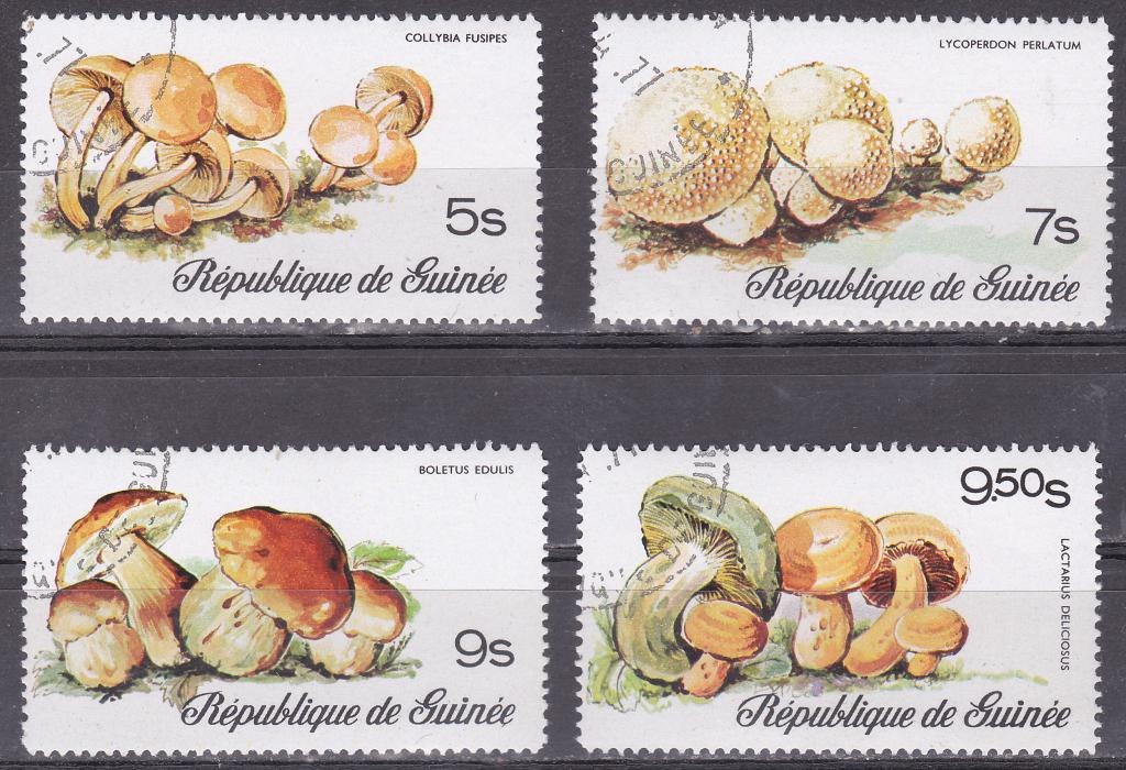 Марки Гвинея 1977 Грибы Серия 7 марок Флора