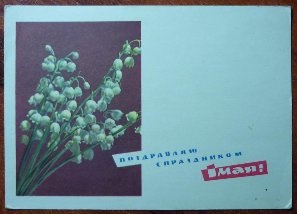 Первого мая цветы песня. 1 Мая Ландыши. Ландыши 1 мая СССР. Открытки с 1 мая с ландышами. Ландыши открытки СССР.