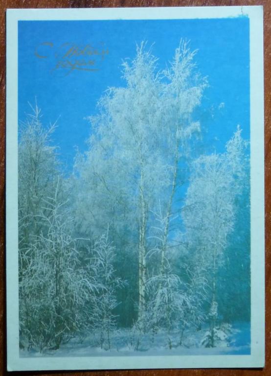 Лес 1986. Открытка двойная зимний лес 1986. Изложение лес лес хорош летом и зимой.