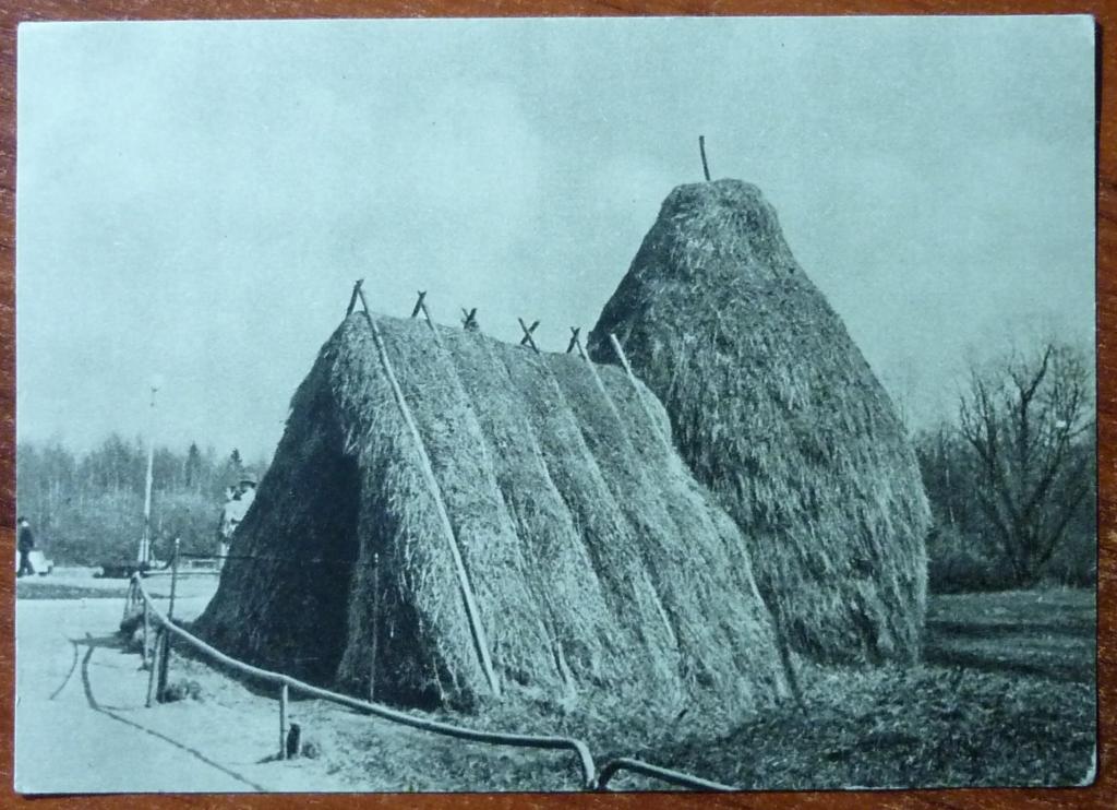 Шалаш ленина в разливе фото