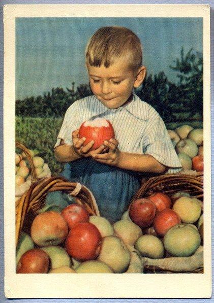 Фото Козловского Вот так яблоко Дети Мальчик 1958 год 