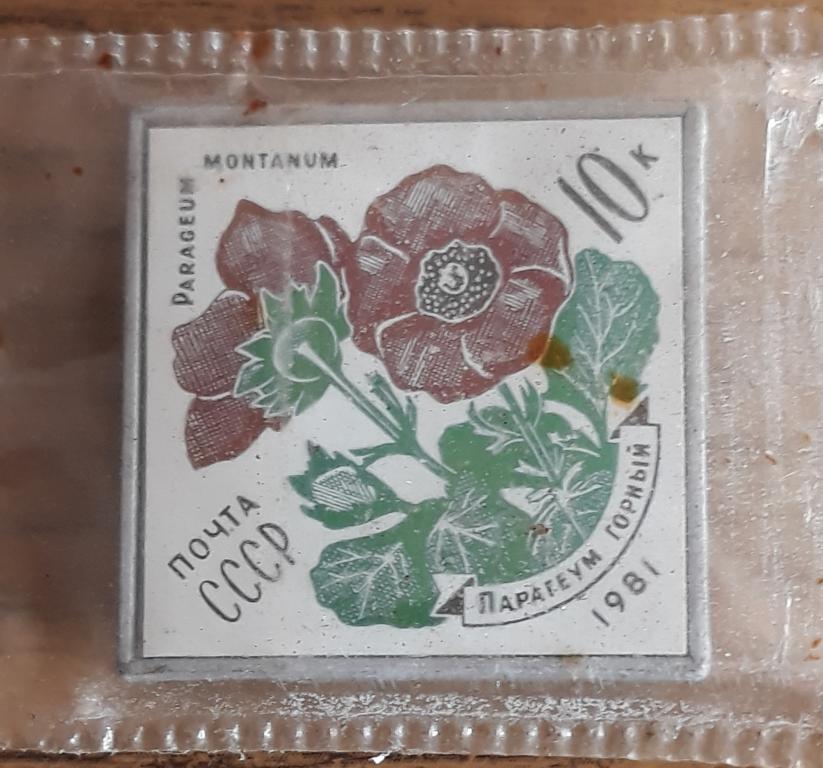 Значок "Парагеум Горный"  1981 г Почта СССР