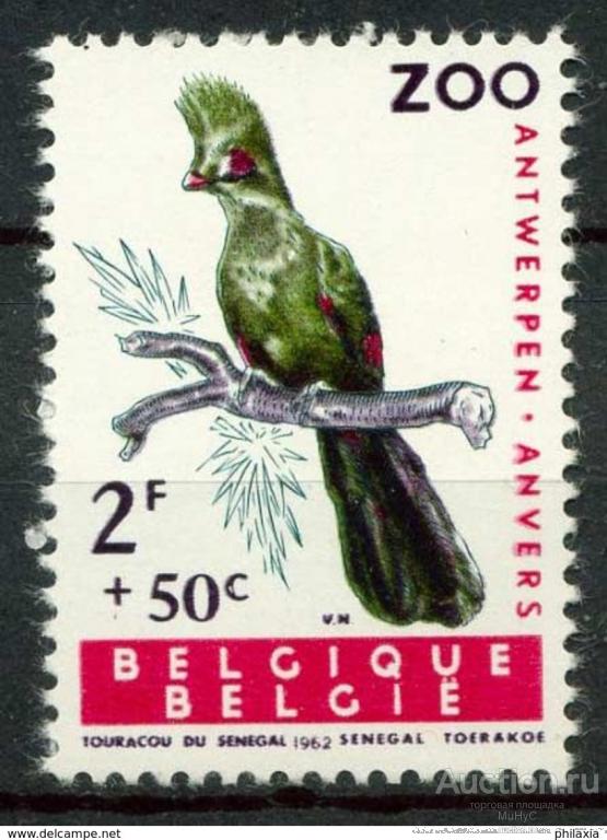 Бельгия 1962 Фауна Птицы ( марка из серии )