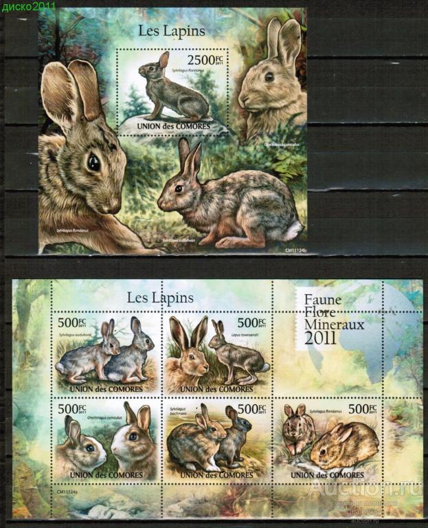 Коморы Коморские острова 2011 Зайцы Кролики Фауна лист+блок**