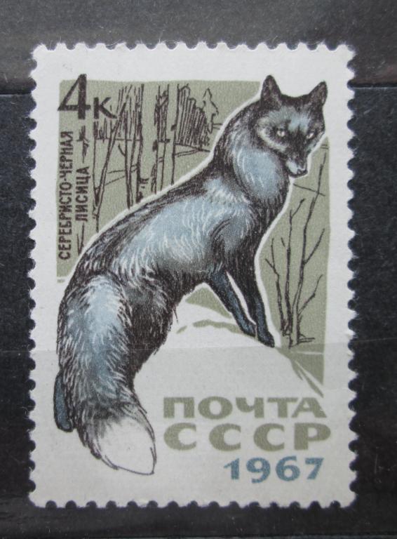 Почтовая Марка СССР 1967 Пушные Промысловые Звери Серебристо Черная Лисица