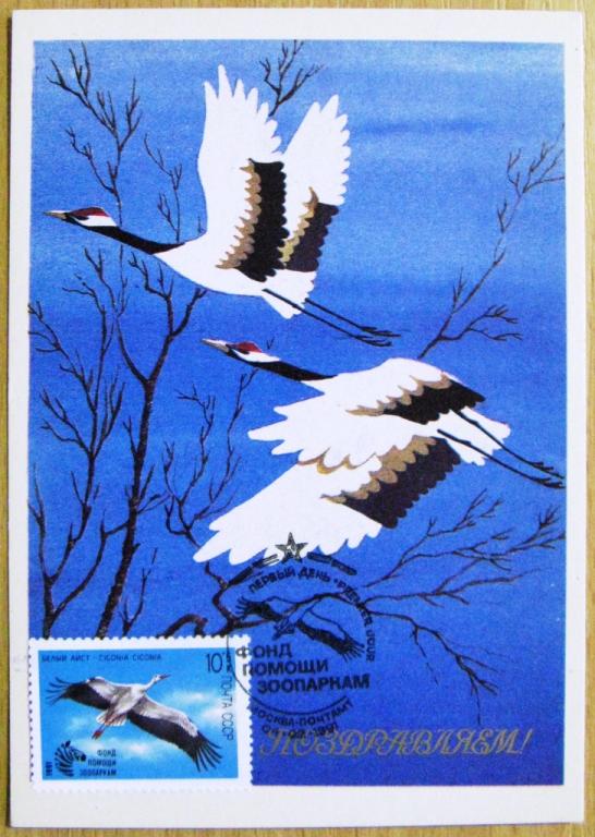 К05-188 КМ КАРТМАКСИМУМ БЕЛЫЙ АИСТ