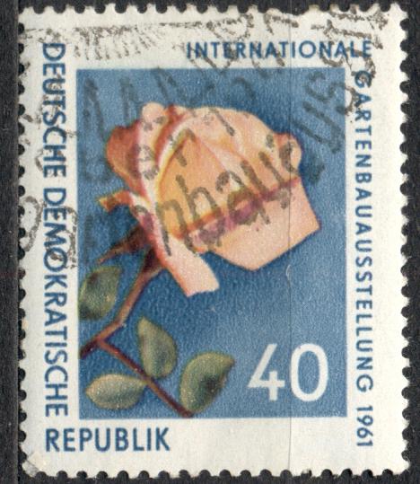 ГДР 1961 г. стандарт ЦВЕТЫ  гашеная