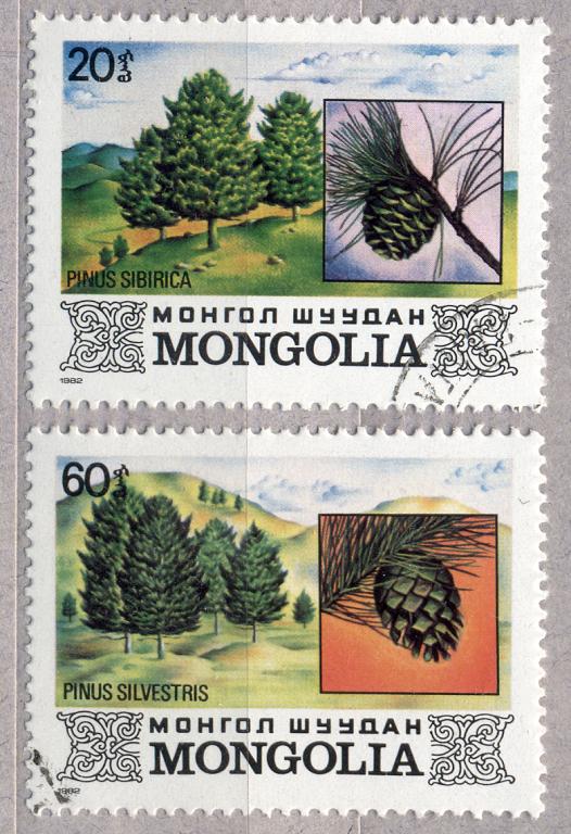 Монголия 1982 г. ФЛОРА  гашеная